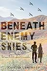Beneath Enemy Skies