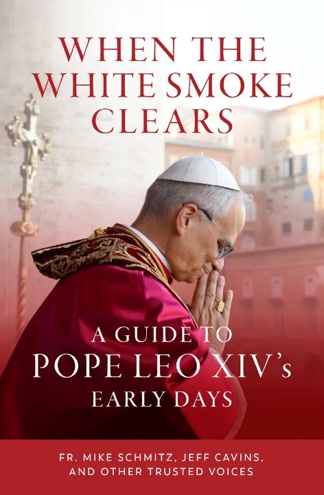 When the White Smoke Clears: A Guide to Pope Leo XIV's Early Days