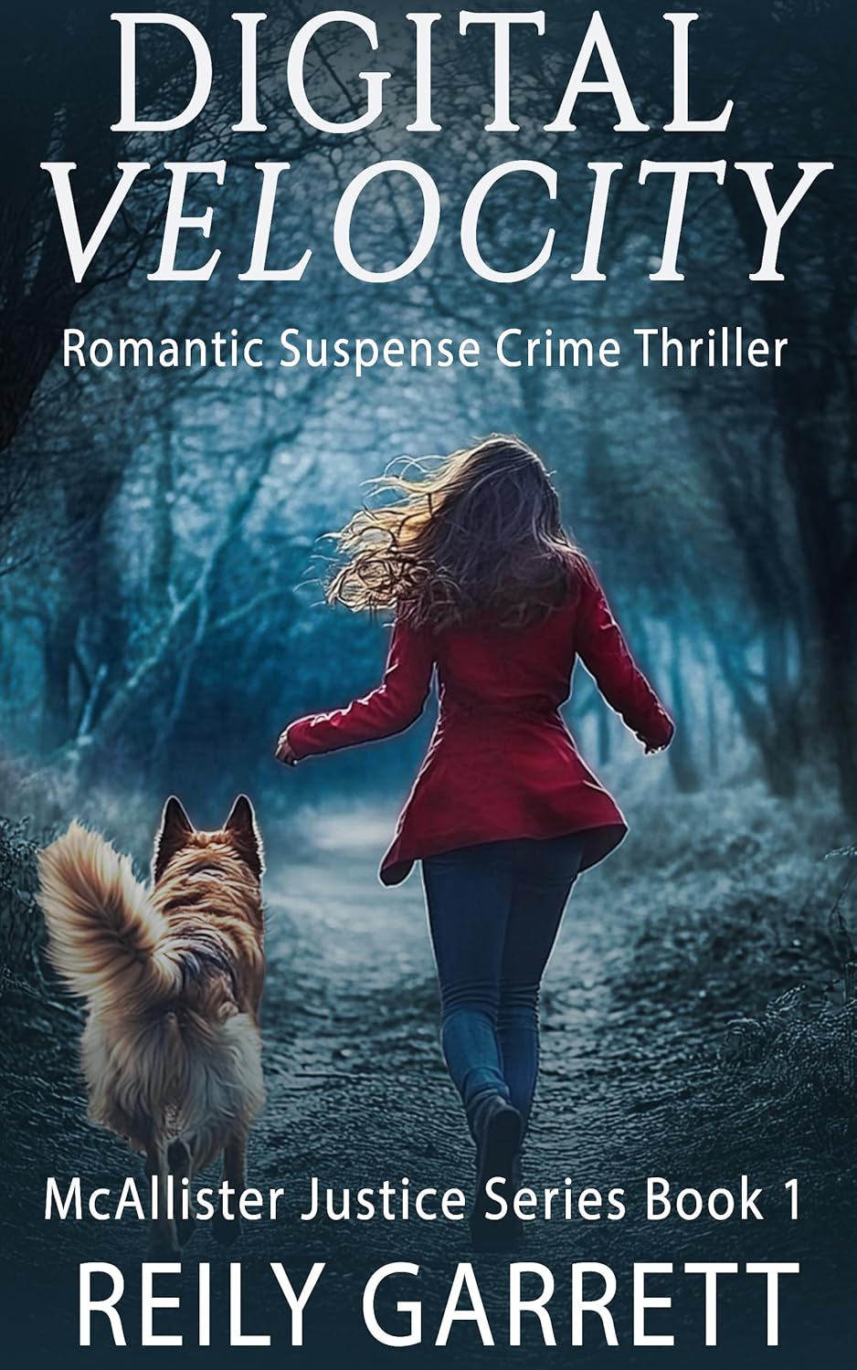 Digital Velocity (McAllister Justice #1)