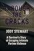 Through The Cracks: A Survivor's Guide Through Intimate Partner Violence