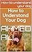 How to understand your dog