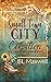 Small Town City Collection by B.L. Maxwell