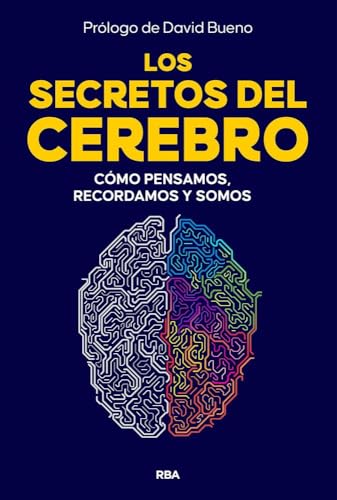 Los secretos del cerebro: Cómo pensamos, recordamos y somos (Paperback)