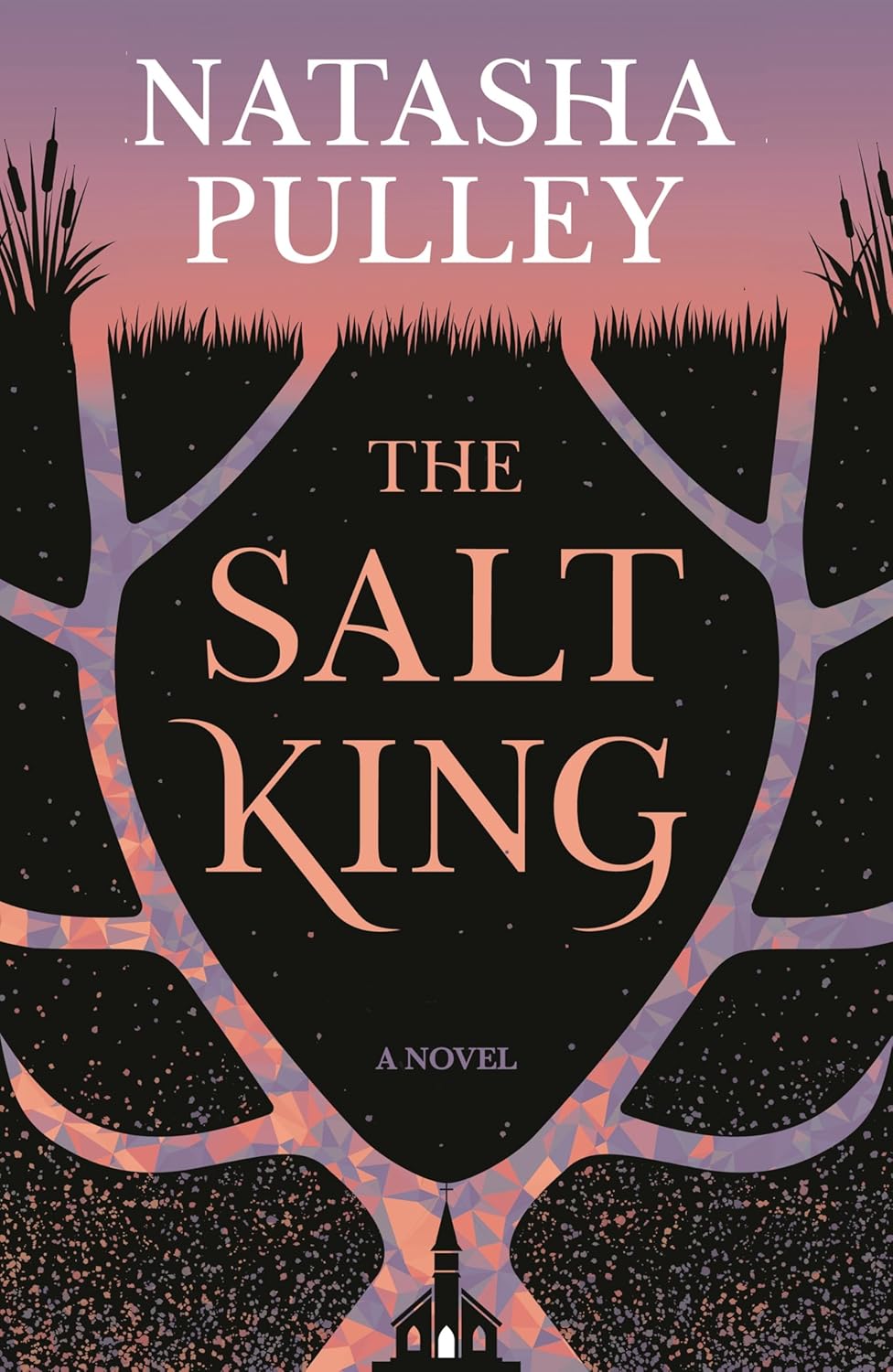 The Salt King (Hardcover)
