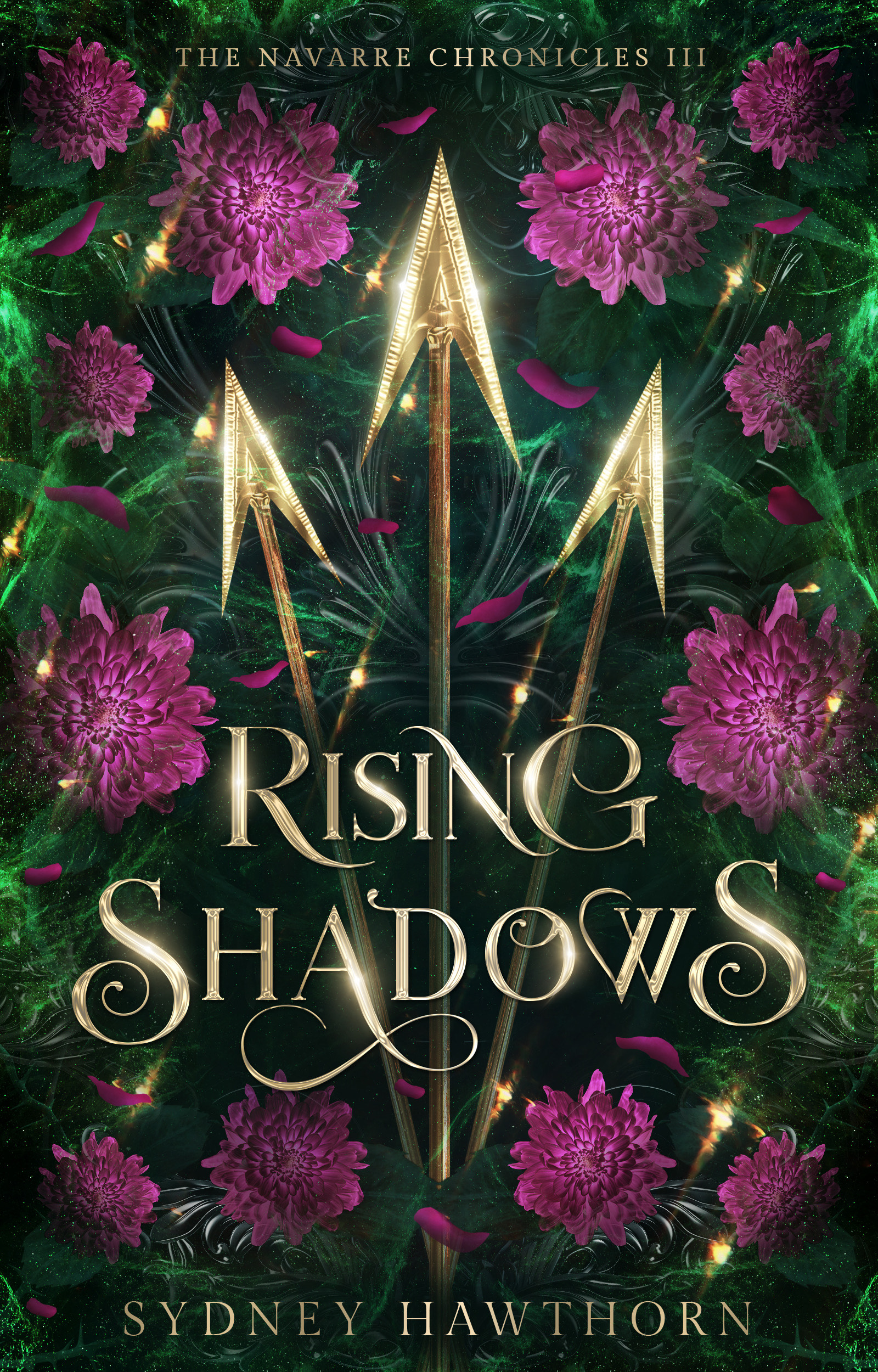 Rising Shadows (The Navarre Chronicles #3)