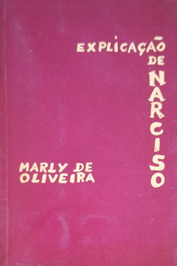 Explicação de Narciso (Paperback)