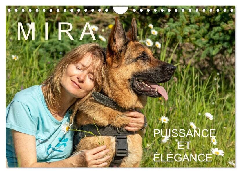 MIRA - PUISSANCE ET ÉLÉGANCE (Calendrier mural 2026 DIN A4 vertical), CALVENDO calendrier mensuel: UN AMOUR DE BERGER ALLEMAND
