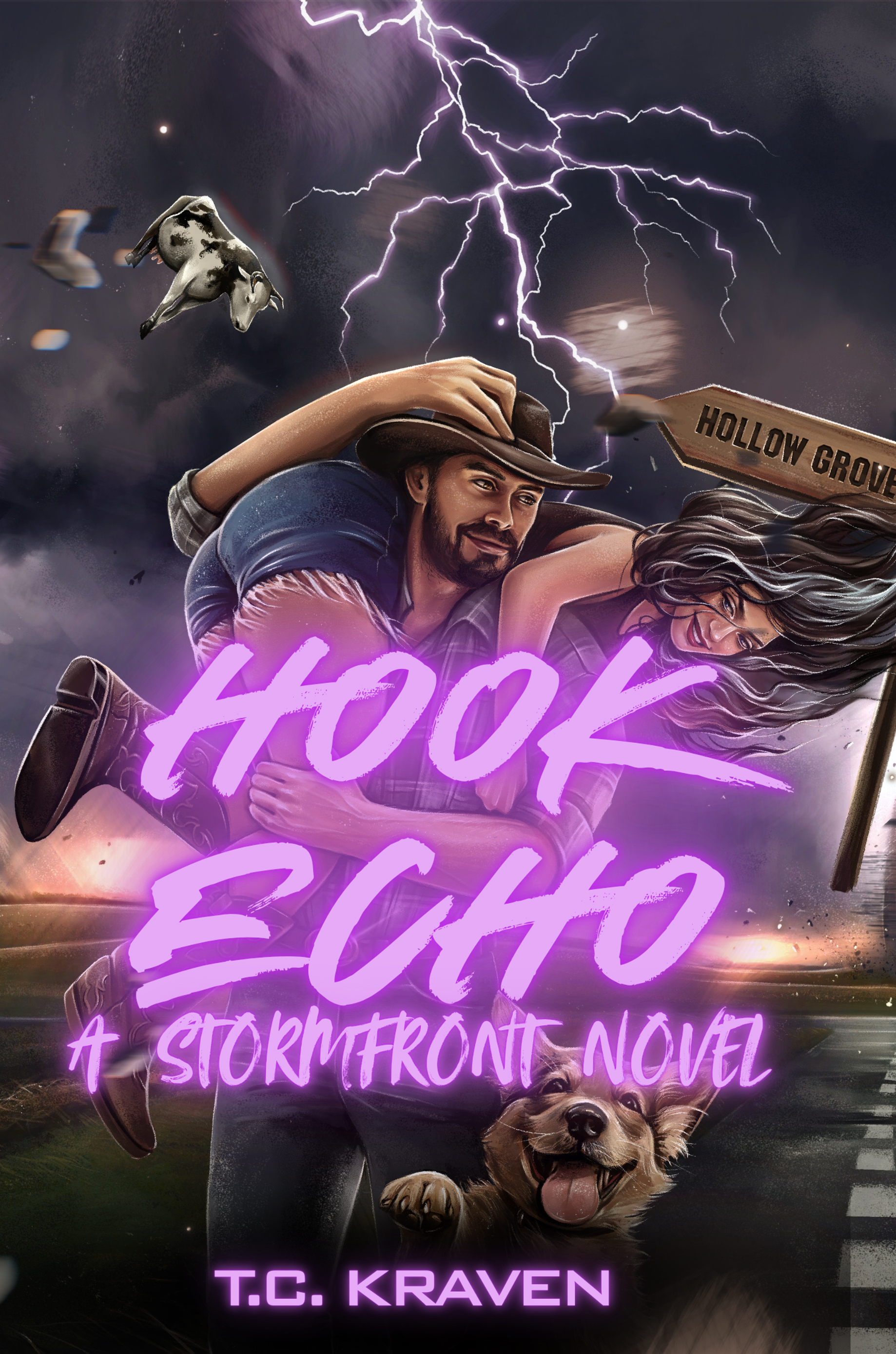 HOOK ECHO (THE STORMFRONT NOVELS)