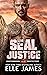 SEAL Justice (Brotherhood Protectors, #13)