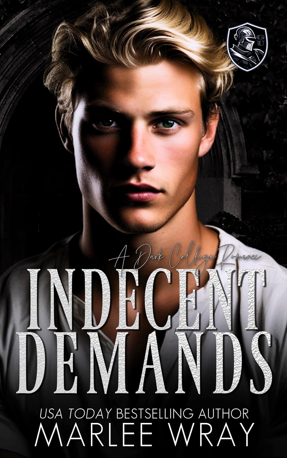 Indecent Demands (Dark Knights, #1)