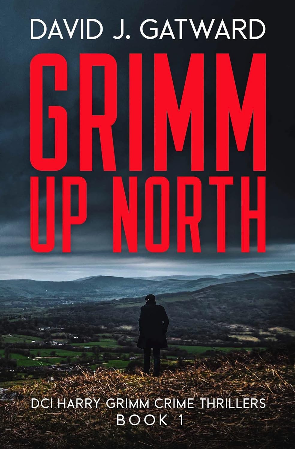 Grimm Up North (DCI Harry Grimm, #1)