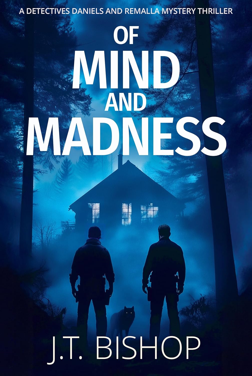 Of Mind and Madness (Detectives Daniels and Remalla, #4)