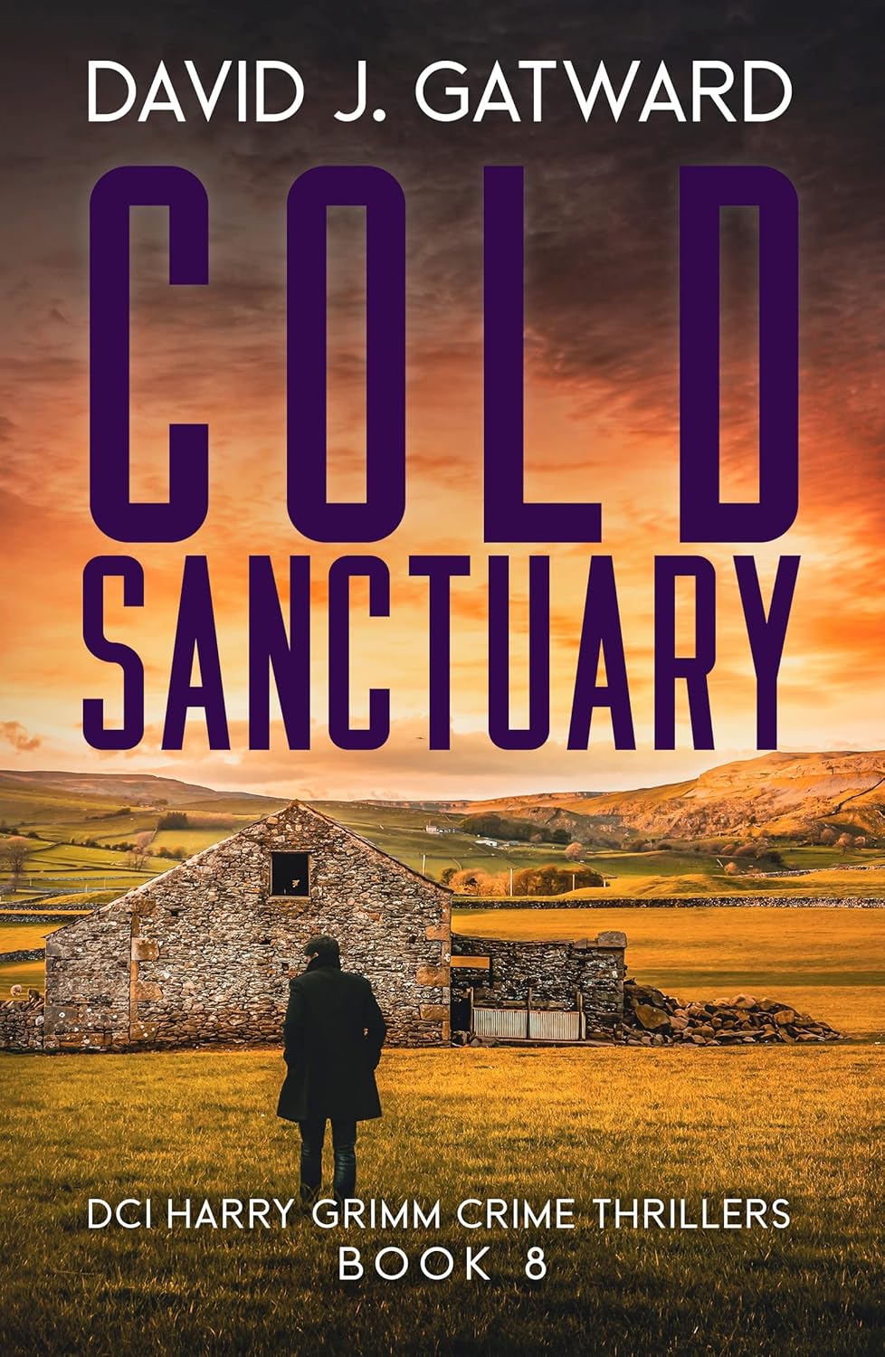 Cold Sanctuary (DCI Harry Grimm, #8)