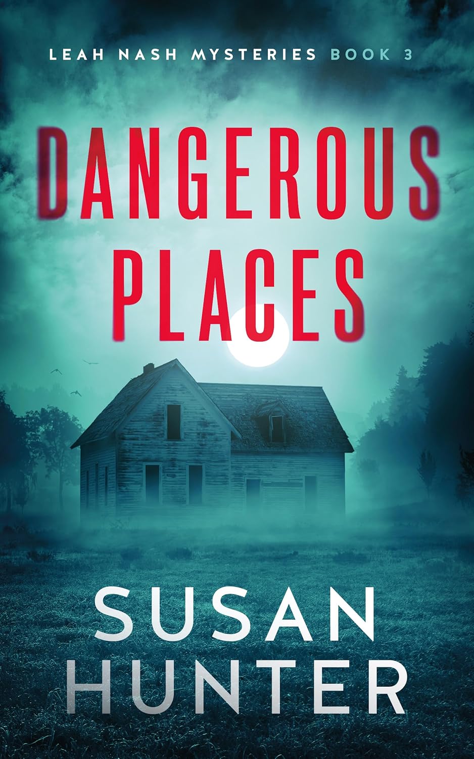 Dangerous Places (Leah Nash Mysteries #3)