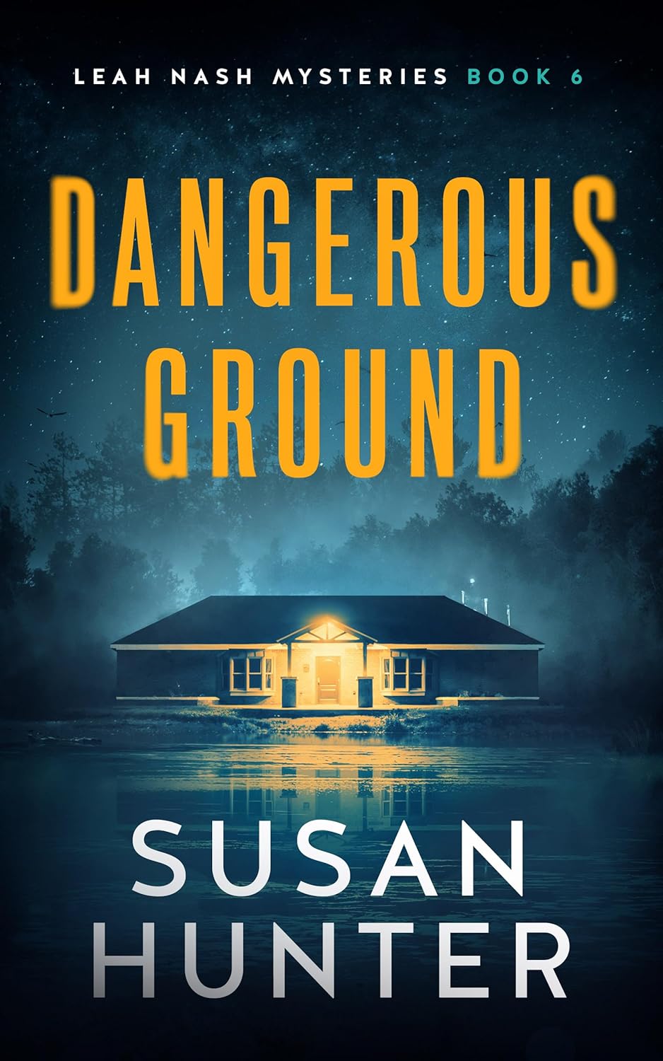 Dangerous Ground (Leah Nash Mysteries, #6)