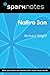 Native Son (SparkNotes Lite...