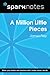 A Million Little Pieces (Sp...