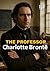 THE PROFESSOR (Annotated)
