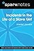 Incidents in the Life of a ...