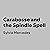 Carabosse and the Spindle S...