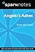 Angela's Ashes (SparkNotes ...