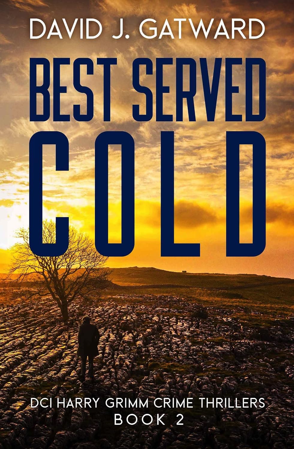 Best Served Cold (DCI Harry Grimm, #2)