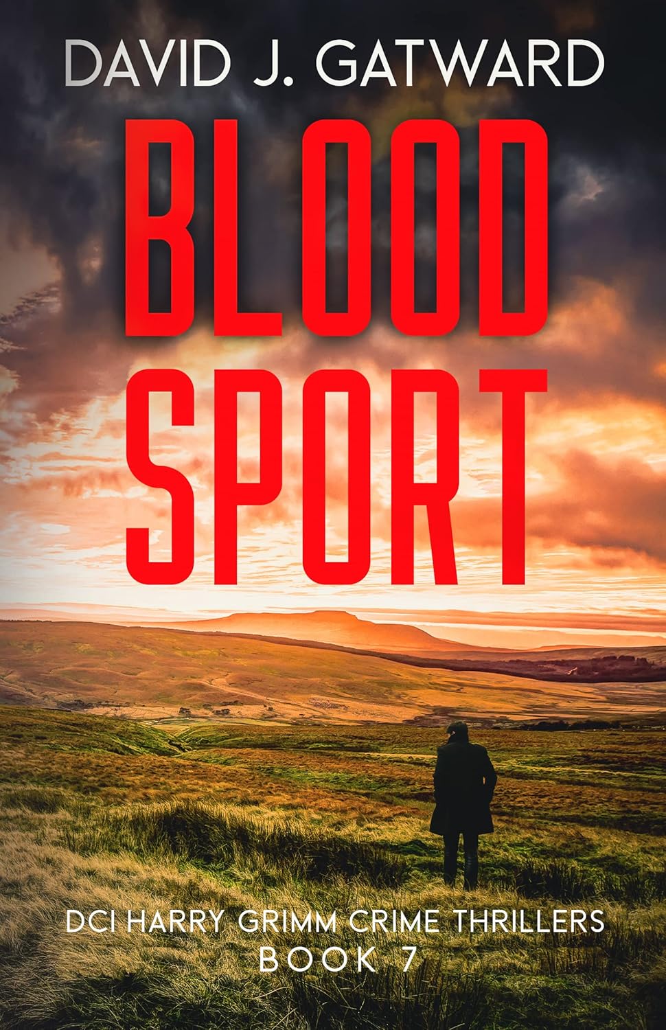 Blood Sport (DCI Harry Grimm, #7)