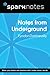 Notes from Underground (Spa...