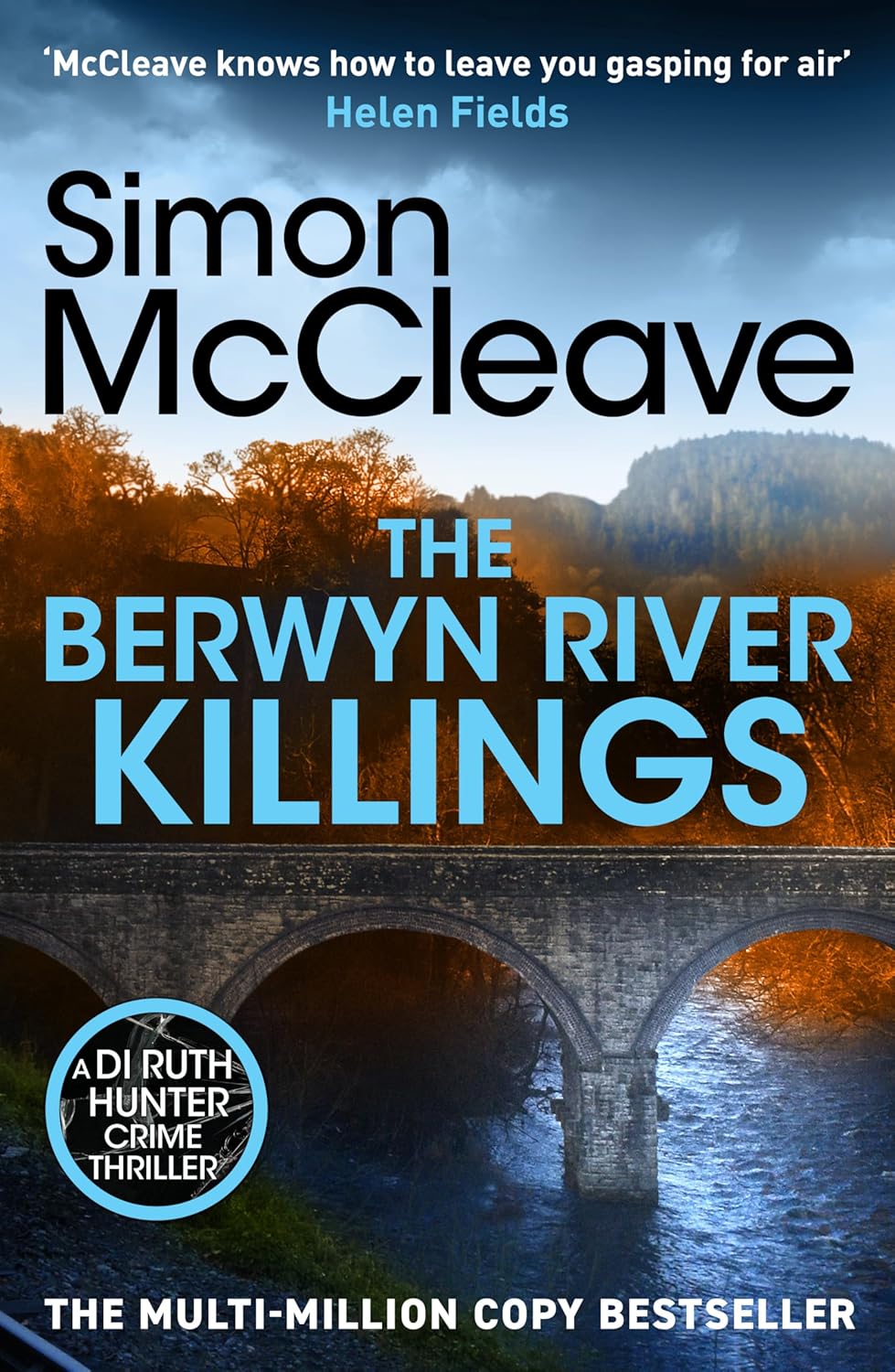 The Berwyn River Killings (DI Ruth Hunter #5)