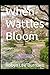 When Wattles Bloom
