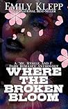 Where the Broken ...