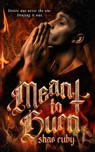 Meant to Burn (Kindle Edition)