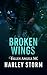 Broken Wings: A Motorcycle ...