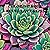 Coloring Book Succulent Bliss by Sheryl Johnson