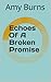Echoes Of A Broken Promise