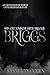 Briggs (Toxische hitte Book 4) (Dutch Edition)