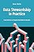 Data Stewardship in Practice by Dave Wells