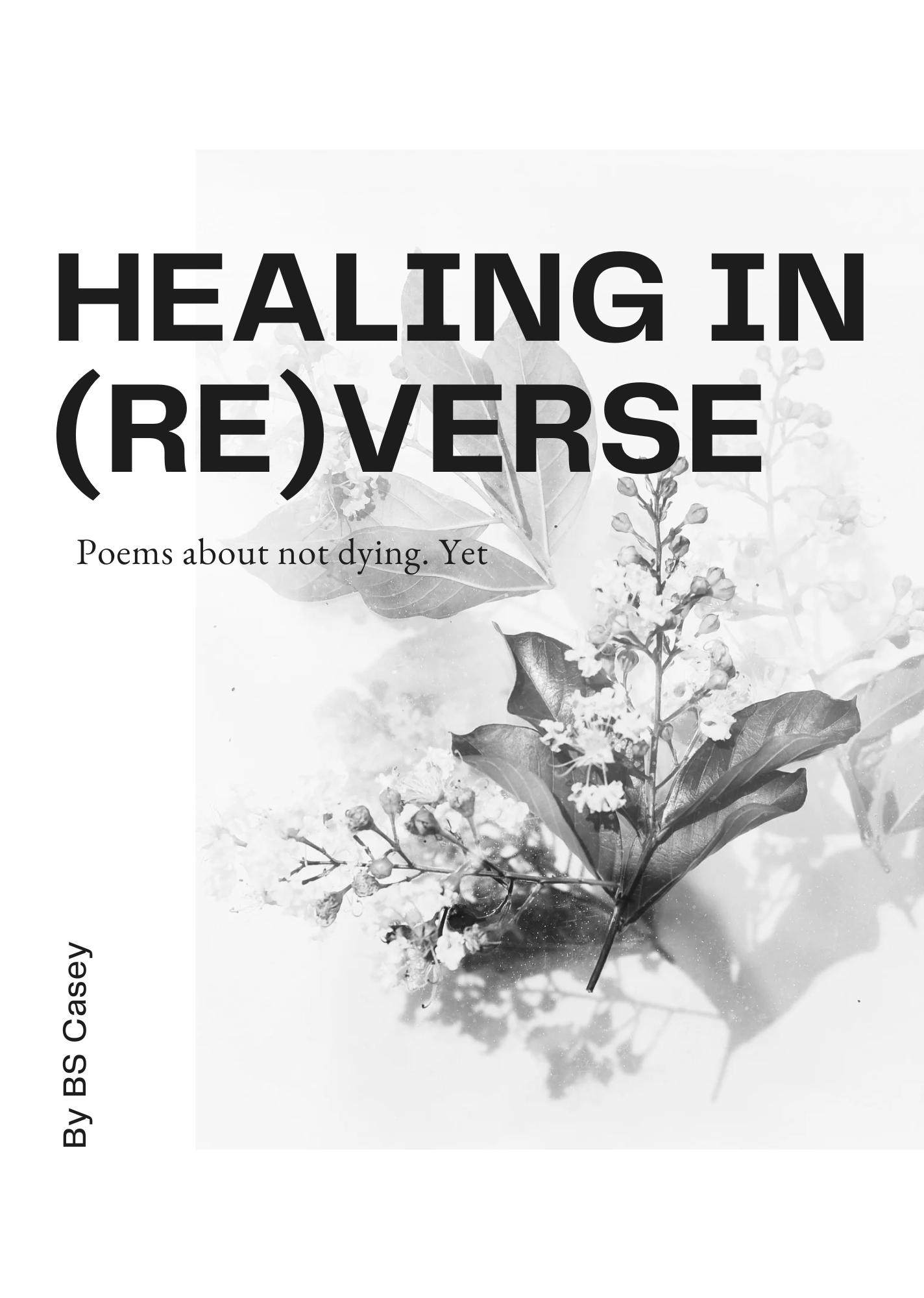 Healing in (Re)Verse - Poems About Not Dying Yet