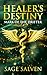 Healer's Destiny: Mark of t...