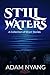 Still Waters by Adam Nyang