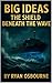 BIG IDeAS: The Shield Benea...