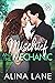 Mischief and the Mechanic