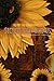 Secrets That Bind Us: A Sta...