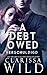 A Debt Owed: Verschuldigd (Schulden Duet Book 1) (Dutch Edition)