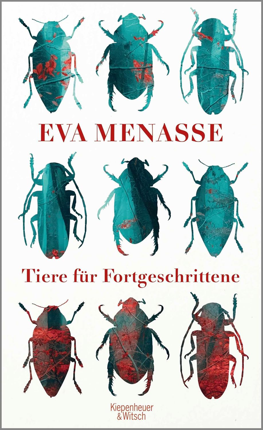 Tiere für Fortgeschrittene (Hardcover)