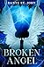 Broken Angel by Dante St. John Broken Angel by Dante St. John