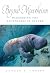 Beyond Monotheism: Discerni...
