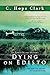 Dying on Edisto by C Hope Clark