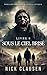 Sous le ciel brisé 8: Thriller d'horreur apocalyptique (French Edition)