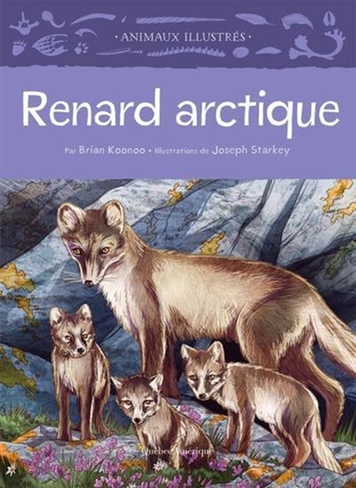 Renard arctique (Animaux illustrés, 11) (French Edition)
